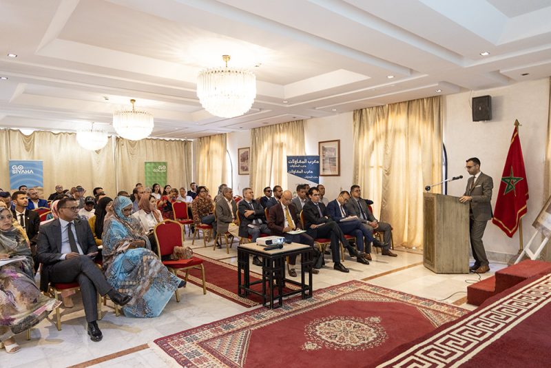 قافلة go سياحة