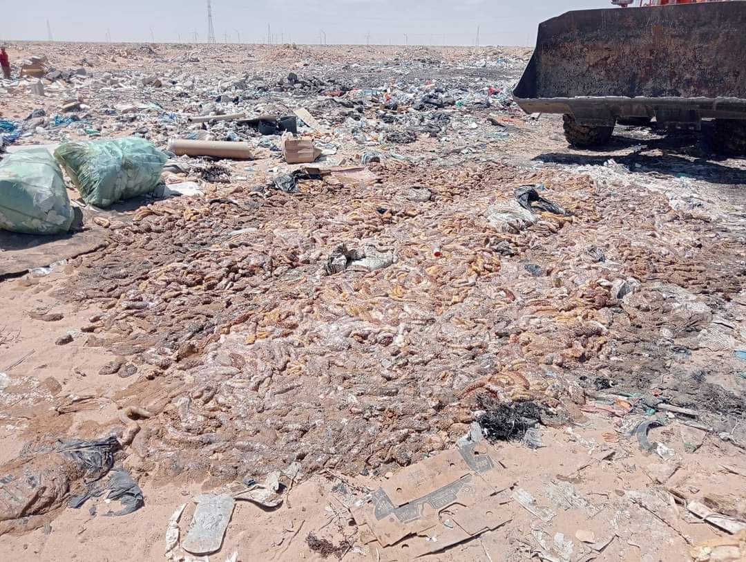 إتلاف كمية مهمة من خيار البحر بالمرسى