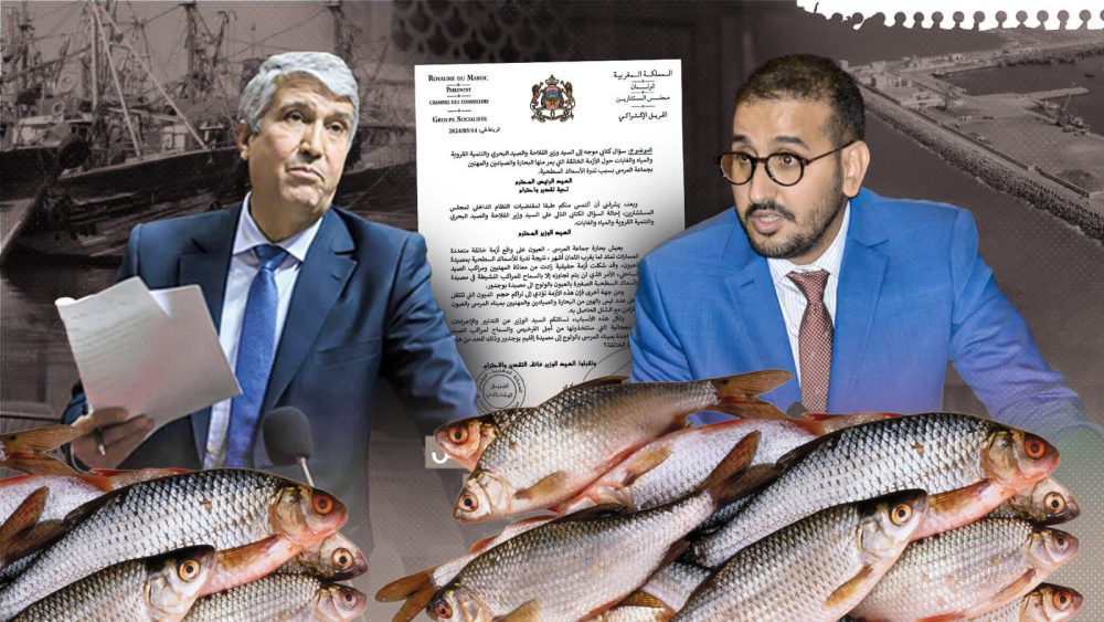 استنزاف سمك بوجدور