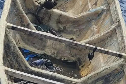 مهاجرين